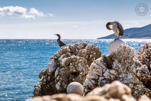 urlaub-in-kroatien-istrien-vom-25-09-2017-bis-02-10-2017-000674A7F198-FFA0-283C-F3CB-5B74131DED44.jpg