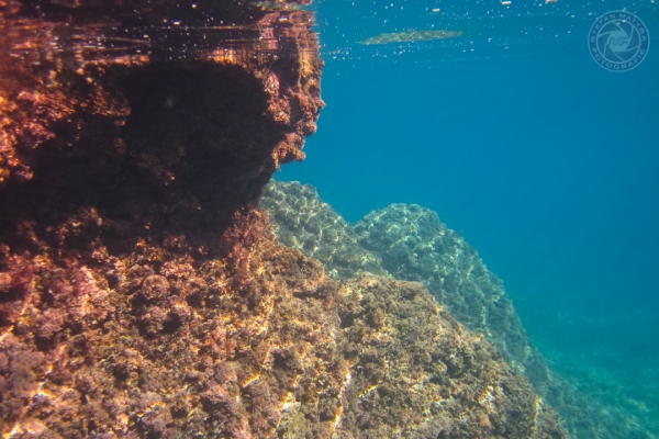 urlaub-in-kroatien-istrien-vom-25-09-2017-bis-02-10-2017-0308DC8F2CD9-C537-171A-19A6-671E171425C3.jpg