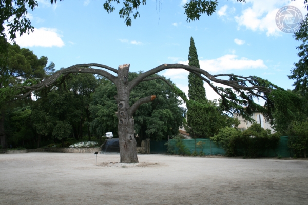 urlaub-frankreich-spanien-andora-vom-23-07-2010-bis-07-08-2010-0786715DC576-7371-D16F-C242-8DE74849E708.jpg
