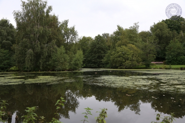 daenemark-nordjutland-2016-001652E02CC-1086-7577-5E9D-B2D8195E6696.jpg