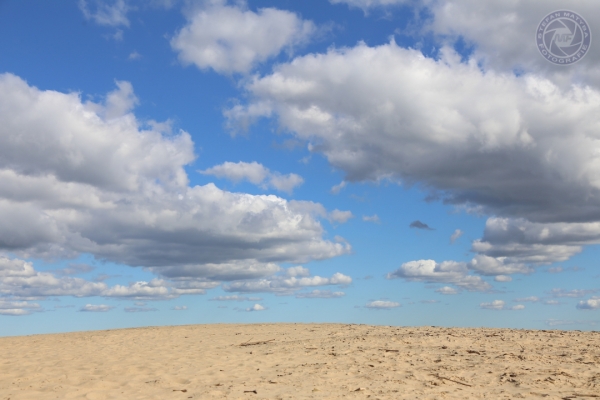 daenemark-nordjutland-2016-028513E6E96-3FF0-C9F9-1E19-60C9F29670D8.jpg
