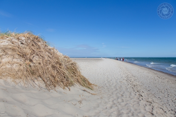 daenemark-nordjutland-2016-038A92139B7-DF93-B835-3E25-B30970BEFFC4.jpg