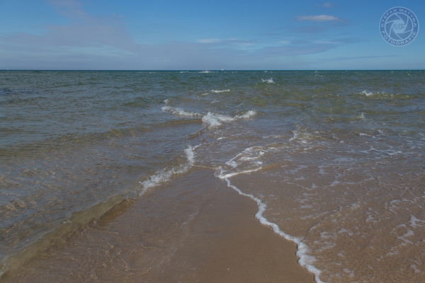 daenemark-nordjutland-2016-0393169D6B9-D687-F07F-90CB-26E6015965EE.jpg