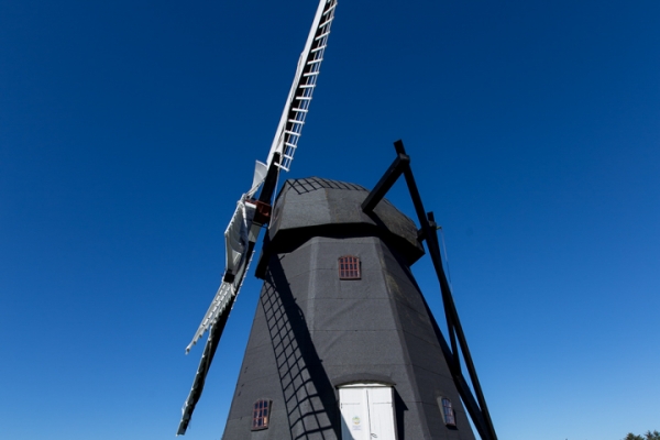 daenemark-nordjutland-2016-0814BE49C5C-81AA-DA0F-3F3C-D8E95CA11C48.jpg