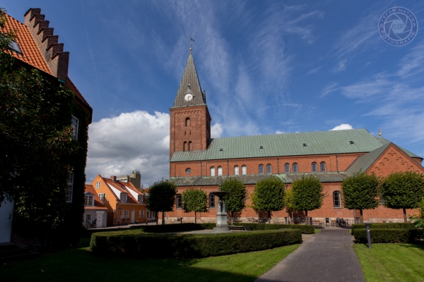 daenemark-nordjutland-2016-105ACE4CCAE-62DB-68B2-D23B-2197F9A1AD7A.jpg