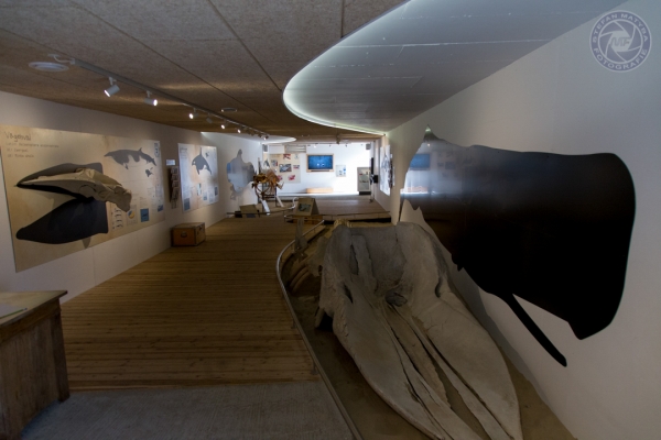 daenemark-nordjutland-2016-146A194C8AC-02C6-C2EB-76E7-1C7794BA39E8.jpg