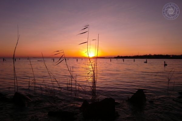 ruegen-2012-01A8F4E4C7-3B9A-A544-11F7-26F1D986A73E.jpg