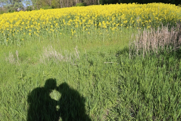 urlaub-auf-ruegen-vom-01-05-2014-bis-04-05-2014-0017AB38B6A8-C159-A55D-9FE4-852FFC1DAD90.jpg