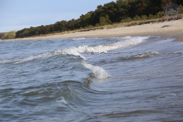 urlaub-auf-ruegen-vom-01-05-2014-bis-04-05-2014-0593871BF3C2-2748-15E6-84A9-BE54A1AA46F2.jpg