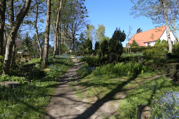urlaub-auf-ruegen-vom-01-05-2014-bis-04-05-2014-07110784991A-FF66-58F1-42F9-CA3ACA5E612F.jpg