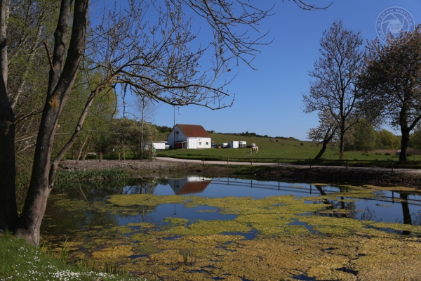 urlaub-auf-ruegen-vom-01-05-2014-bis-04-05-2014-07137AFCFED2-D3D5-92C3-6E30-0105F1A9B7AF.jpg