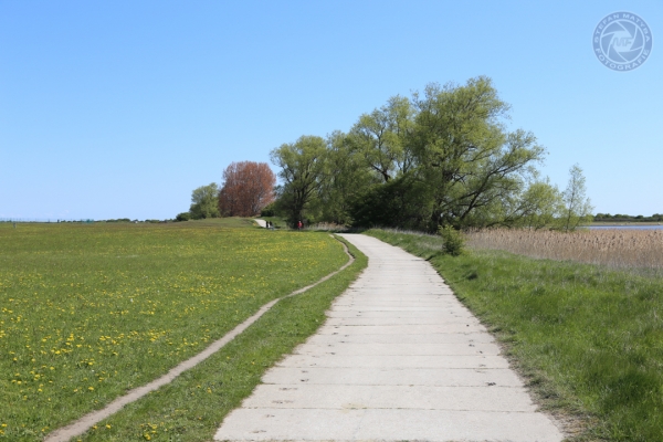 urlaub-auf-ruegen-vom-01-05-2014-bis-04-05-2014-0763AF3F2285-F9A7-0DA3-09C6-0ACF7DB727A5.jpg