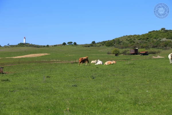 urlaub-auf-ruegen-vom-01-05-2014-bis-04-05-2014-0791ECCE081B-6026-15F4-8652-B1DE7AE874CA.jpg