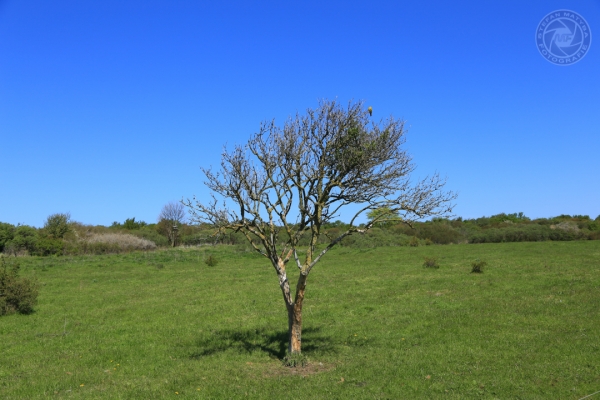 urlaub-auf-ruegen-vom-01-05-2014-bis-04-05-2014-079223DA0717-A533-1F2A-C4E6-197F7C830929.jpg