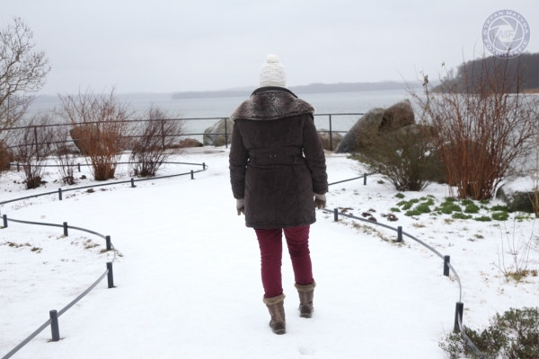 urlaub-an-der-ostsee-in-rerik-vom-04-01-2016-bis-08-01-2016-832B7C2D2E2-780C-C84E-8295-9A60B721248F.jpg