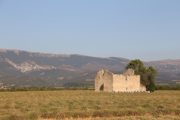 frankreich-2015-0054E5CDA4A-B678-534A-BE61-87CA213AA2AE.jpg