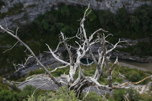 frankreich-2015-016A6314AF5-FB4E-FF47-85B5-F07492669915.jpg