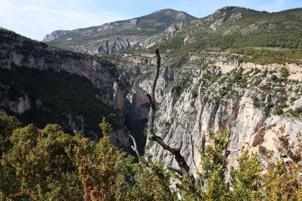 frankreich-2015-0496EBAEA88-0AE6-276B-6633-19C4E24B807A.jpg