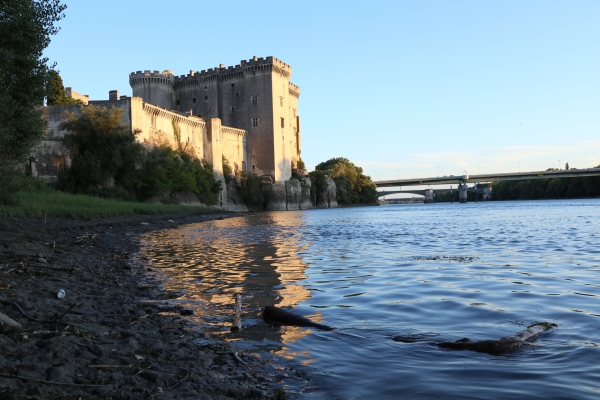 frankreich-2015-1142FBE76B5-D8F0-DF29-36CC-66573E5CCBA6.jpg