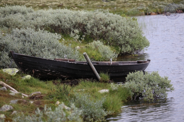norwegen-ost-norwegen-2014-51E66488AE-DE2B-61DB-FE3E-3A306E6DC776.jpg
