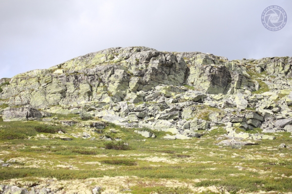 norwegen-ost-norwegen-2014-53EF1D9CEE-3542-355A-4169-3EA2F3561504.jpg