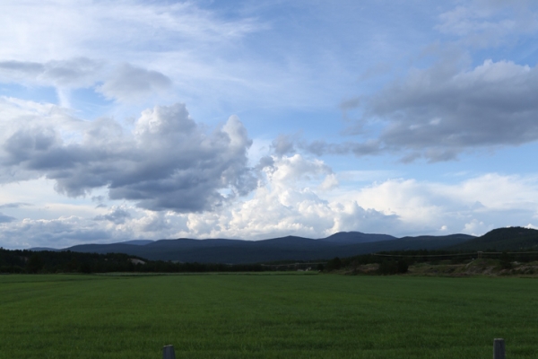 norwegen-ost-norwegen-2014-61DD8A0F83-1F40-B7A8-4F42-A803A7D7762E.jpg