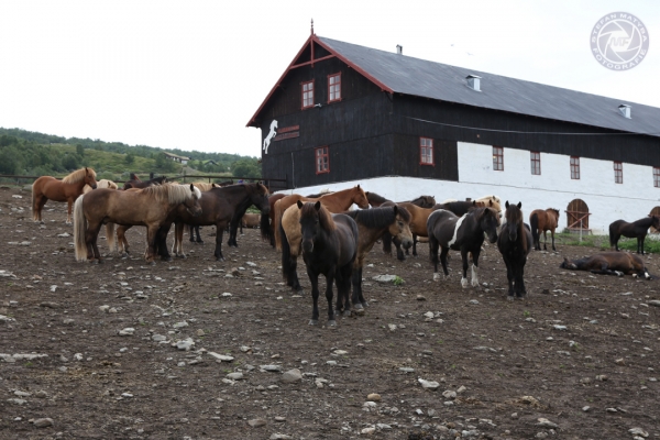 norwegen-ost-norwegen-2014-67C3720A0F-903F-4E8D-7148-BA40B4273733.jpg