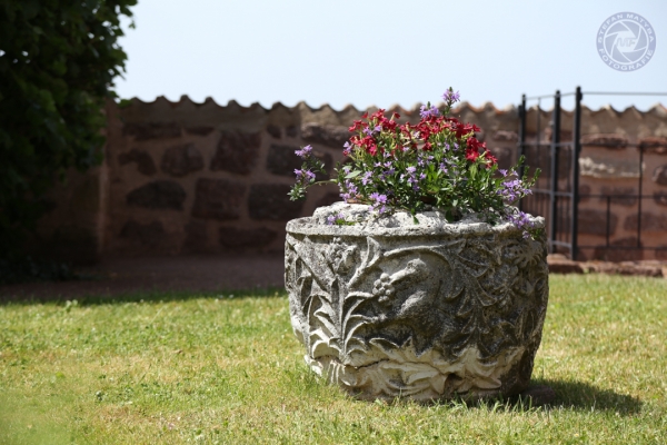 urlaub-in-thueringen-vom-03-07-2015-bis-04-07-2015-05113C603B8-A491-3C23-D6C8-725E84F7D4F9.jpg