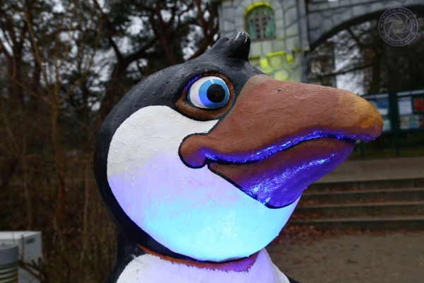 sylvester-an-der-ostsee-vom-30-12-2014-bis-05-01-2015-012853868F1C-B597-4C66-5A2D-E8A61B0F7EF8.jpg