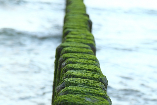 sylvester-an-der-ostsee-vom-30-12-2014-bis-05-01-2015-07856F23684D-B55A-3AE5-1255-EC12B545F78C.jpg