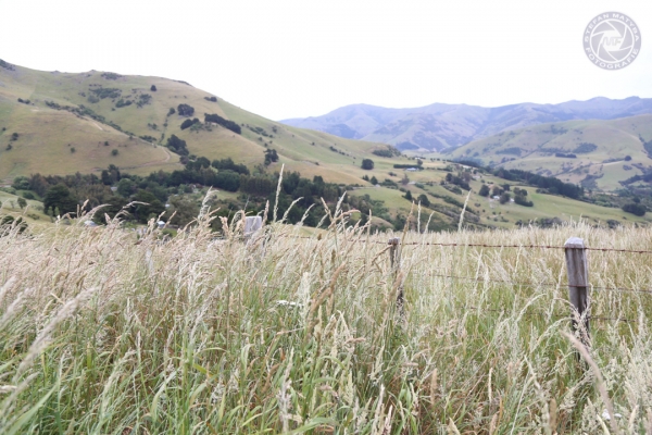 neuseeland-suedinsel-2013-001EB68A114-AE94-64C5-3EE6-8D811935297A.jpg