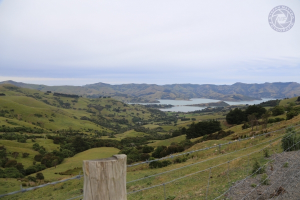neuseeland-suedinsel-2013-002DF261B7A-F7FE-85F0-4547-52917044938B.jpg
