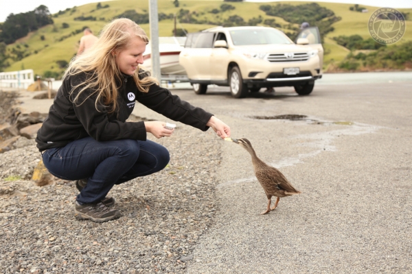neuseeland-suedinsel-2013-00373A275AB-9B77-6D11-FFBC-DFB3BF479064.jpg