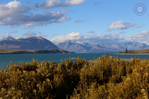 neuseeland-suedinsel-2013-0104AFD9239-19DD-4E60-3B1D-F1F98638819C.jpg