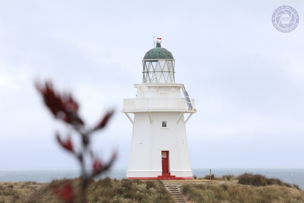 neuseeland-suedinsel-2013-02919C4DE4D-AFFB-5958-174B-E778CCDCFEB5.jpg