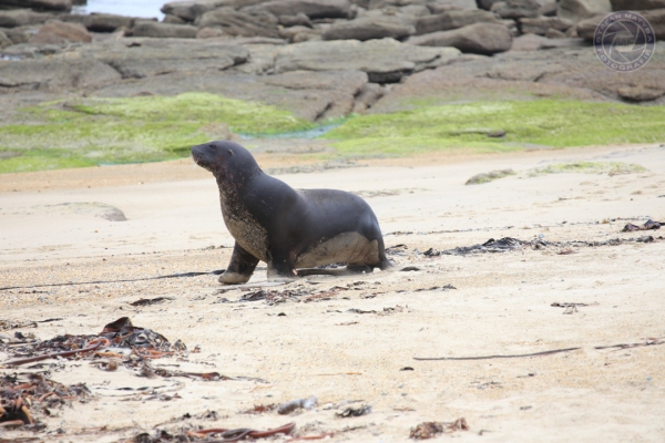 neuseeland-suedinsel-2013-031869C15D6-D4E4-DA8E-7F11-4597F3C1E905.jpg