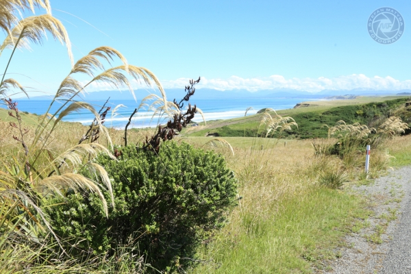 neuseeland-suedinsel-2013-035134BDACF-C03E-4A3F-87AC-9AC4D0D213C6.jpg