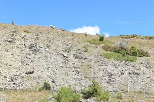 neuseeland-suedinsel-2013-064FC84822D-22C1-4A64-92E9-0E7CEDD88FAF.jpg