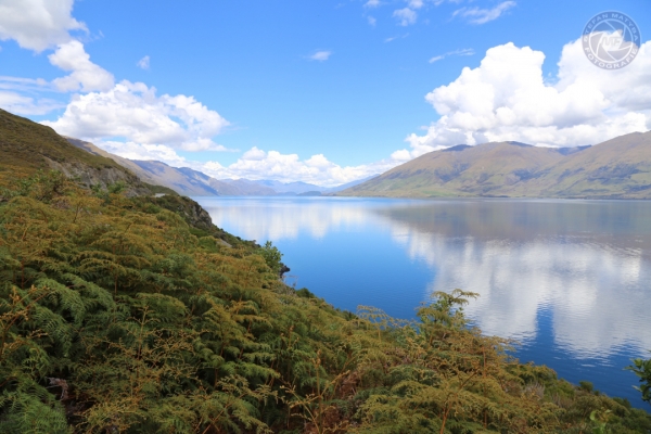 neuseeland-suedinsel-2013-0671D976C71-05E7-DD96-3C98-3CBAFD0BA922.jpg