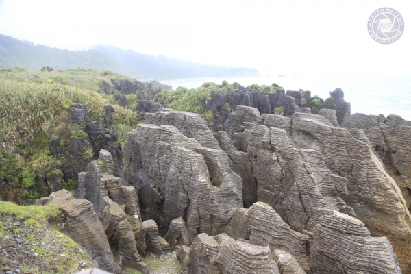 neuseeland-suedinsel-2013-081B9854DFC-138F-3A0B-02E7-E3A6EA381068.jpg