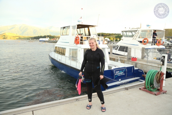 neuseeland-suedinsel-2013-086D8421CA1-A7E5-45E8-7082-EADE488EB0A7.jpg