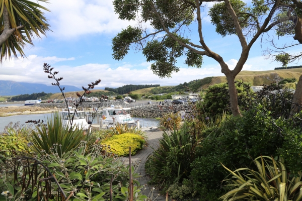 neuseeland-suedinsel-2013-0974DD242F0-3C24-571B-2AF4-686EDB1DA847.jpg