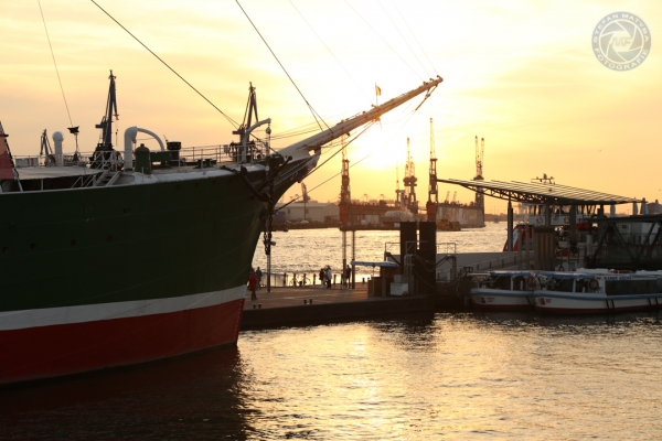 stadt-hamburg-10-10-2014-12-10-2014-039FAB2AE1F-26CA-7E3D-941C-378C334D5F7E.jpg