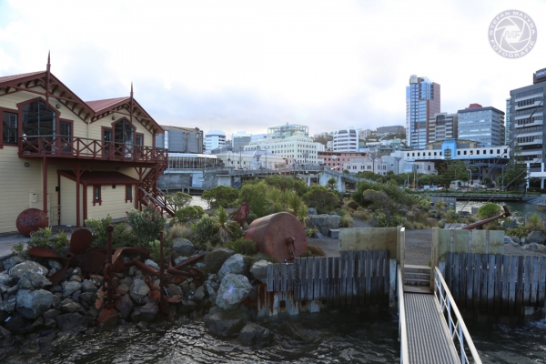 neuseeland-nordinsel-2013-006ED3AC297-E3FC-B848-EA9E-76AE7FE864B8.jpg