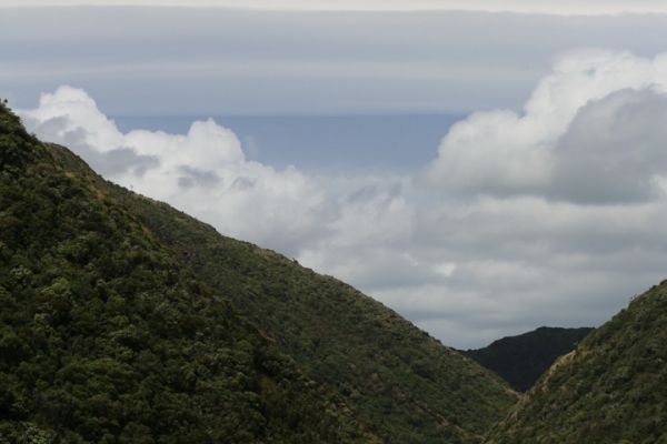 neuseeland-nordinsel-2013-0103661663A-5A27-24BC-B2A2-0B13C47CAA94.jpg