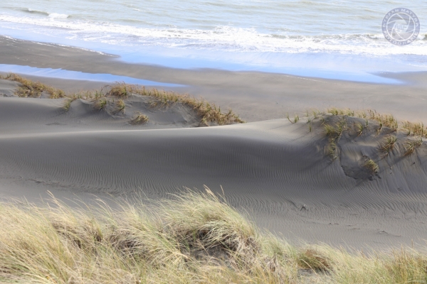 neuseeland-nordinsel-2013-01659524FFA-E0D7-3647-FAC9-8F2FC3F862E3.jpg