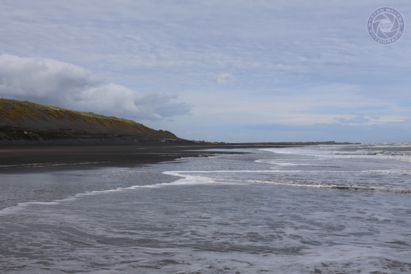 neuseeland-nordinsel-2013-018B3560E54-7525-B158-5C75-290F04DCB2F6.jpg