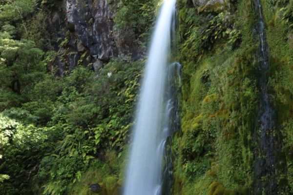 neuseeland-nordinsel-2013-0260DD02317-6F53-A679-0E18-6B6B5F2852FB.jpg
