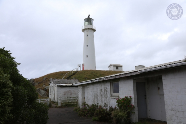 neuseeland-nordinsel-2013-031AD518C2B-3769-F4C5-F9B8-EE65319250E5.jpg