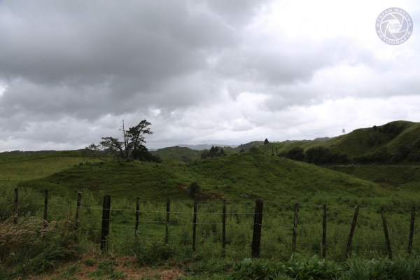 neuseeland-nordinsel-2013-03253D49117-37A3-001B-6649-81DC71F2AE12.jpg